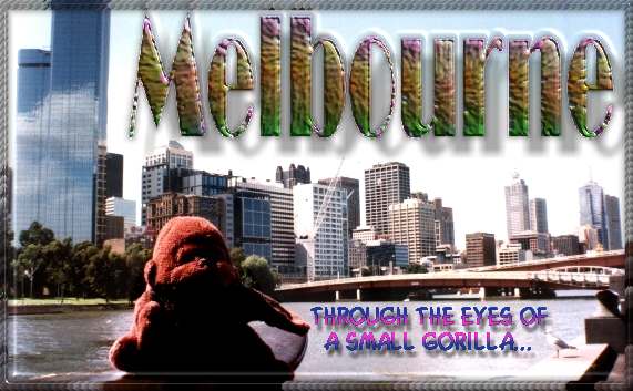 Sunny Melbun, brown Yarra