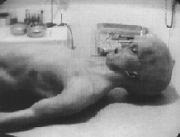 I'm dead, I'm dead, I'm dead....width=