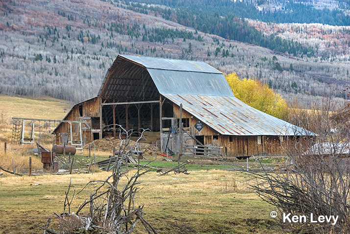 Barn crazy horse photo
