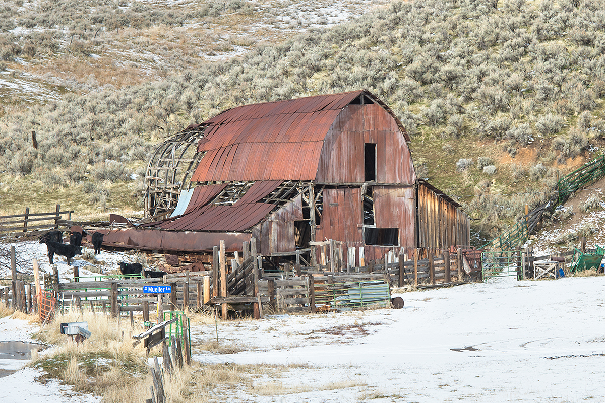 Golden Eagle Ranch Barn photo