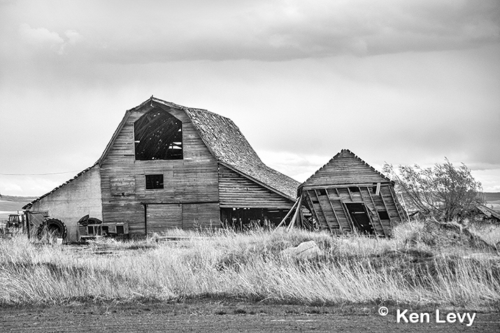 barn shack bw