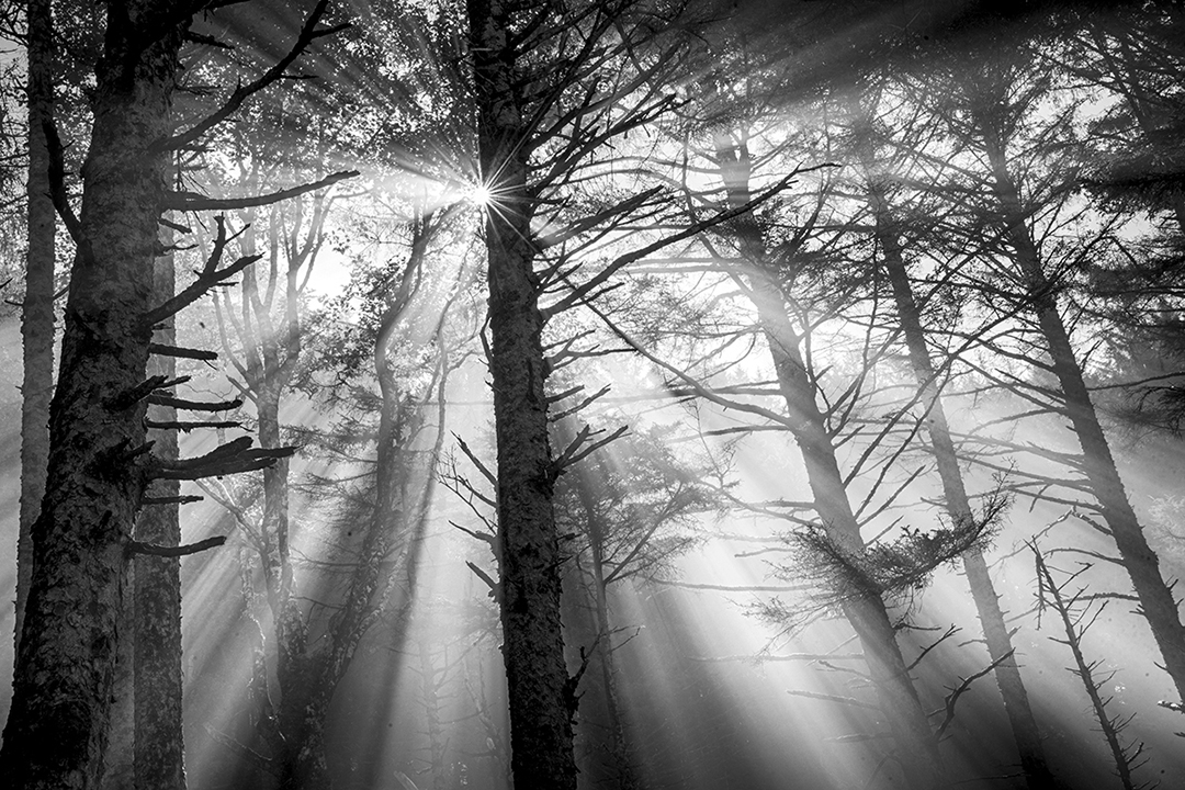 Sunburst Neptune beach photograph