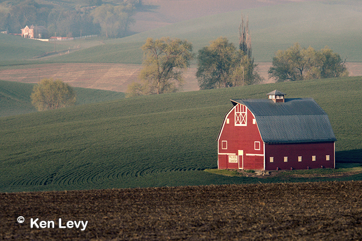 Barn, Palouse Country