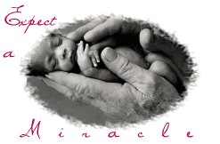 original photo copyright of Anne Geddes