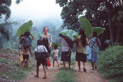temporary umbrellas made by bananatree leaves