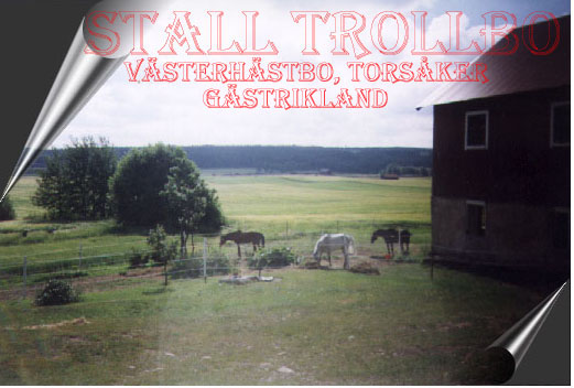 KLICKA H�R!!  F�R ATT KOMMA TILL STALL TROLLBO�S H�STAR...