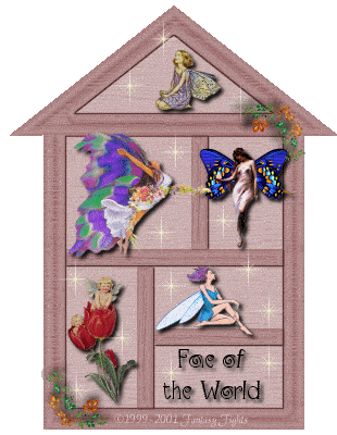 The Fantasy Fights Shadow Box Adoption