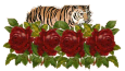 tiger rose divider