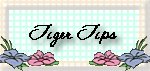 Tiger Tips for Voting!