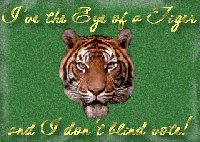 No Blind Vote Banner