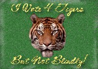 No Blind Vote Banner