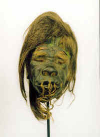 11213l.jpg (30259 bytes)