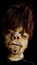 Head16.jpg (13551 bytes)