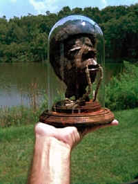 domehead2.jpg (104111 bytes)