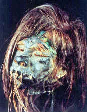 Head5.jpg (81880 bytes)