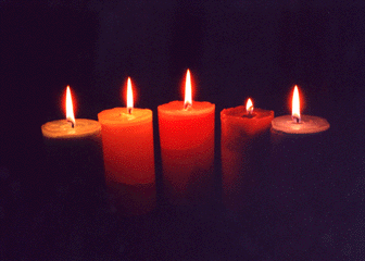 (not a very good picture, huh?)