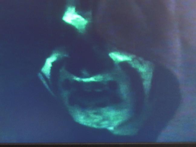 ...and you will obey MY rules.