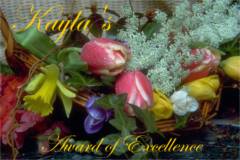 Award of Excellence