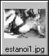 estanoi2.jpg.jpg