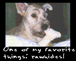 Rawhide!