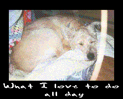 I love to sleep and eat!