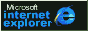 Internet 
Explorer Icon