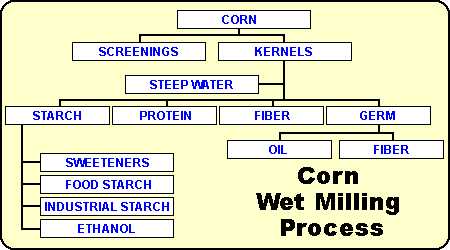 images/wetmil1.jpg (20490 bytes)