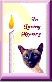 Tribute to Beloved Cats
Ring