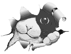 Bearstone, Dollstone, Folkstone, Folk Art, Plush, collectibles, Peeking Cat