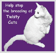 Stop breeding of Twisty Cats!