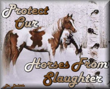 Click Here To Join This Ring