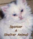 Sponsor A Shelter Animal Ring