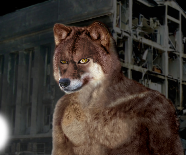 Compliments of Vizon Rok