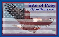 CyberEagles Site of Prey  Award
