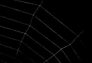 Just a web; nothing to see here, folks; move along.