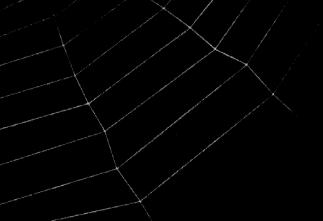 Just a web; nothing to see here, folks; move along.