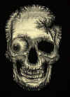 goldskull2.jpg (78714 bytes)