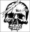 skulldraw.jpg (70860 bytes)