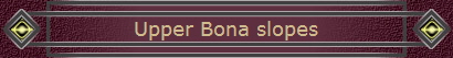 Upper Bona slopes