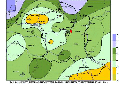firat41.gif (96530 bytes)