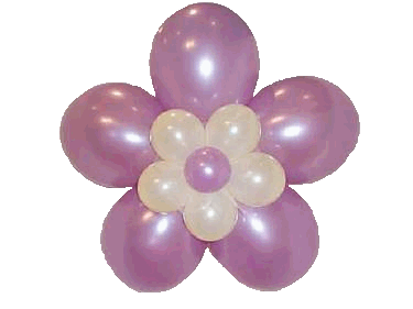 Balloon Flowers