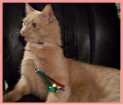 Animal got presents to! He decided parties were fun after all!