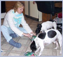 After they opened one present they didn't want to open more until they finished all the treats hidden inside with the present!