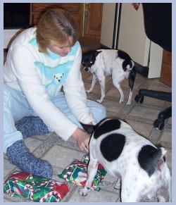 Butch with present again!