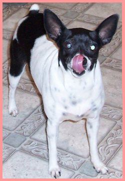 Missy Lou ready for her cake and ice cream!