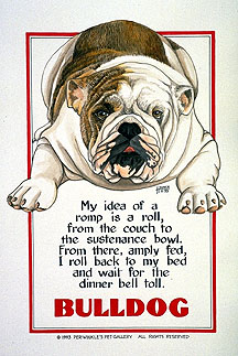 thumbnail of your picture #2