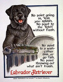 thumbnail of your picture #7