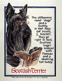 thumbnail of your picture #8