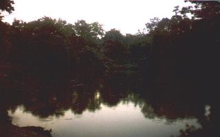 pond