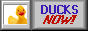duckynow.gif (3360 bytes)